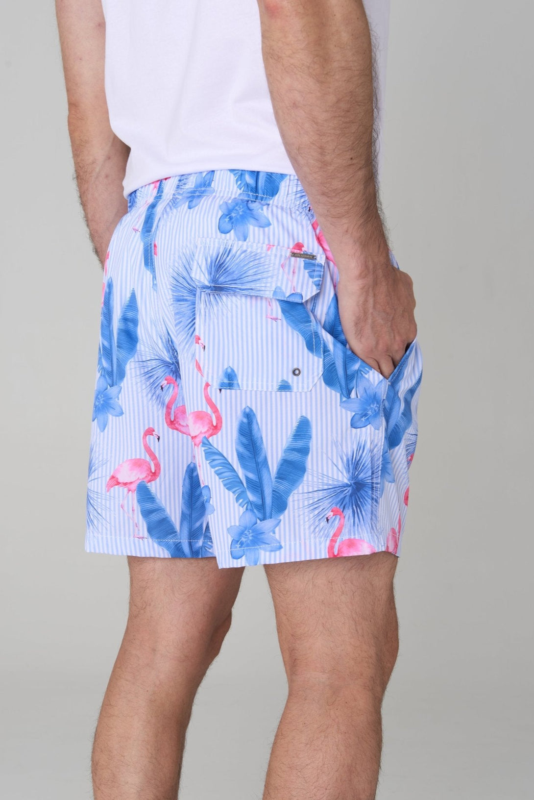 Pantaloneta stripy flamingos - JON SONEN COLOMBIA